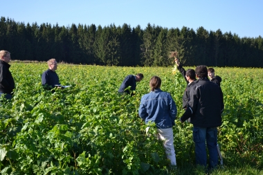 Bodenfruchtbarkeitstag im Waldviertel 18.06.2018
