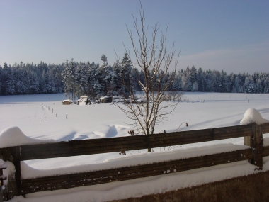 Winterpause Waldviertler Humusstammtisch