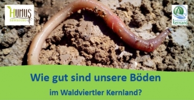 Wie gut sind unsere Böden im Waldviertler Kernland?