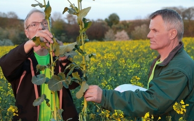 Update-Tage „Regenerative Landwirtschaft 2019“ am 21.11.2019 in Steyr